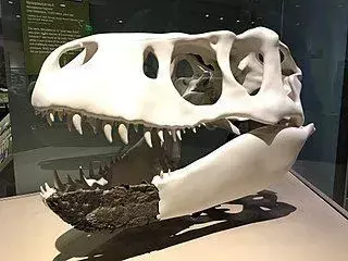 19 faktov o dinosaurovi-roztoče Nanuqsaurus, ktoré budú deti milovať