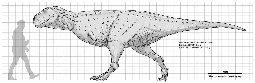 Fakta o Skorpiovenatorovi pomáhají poznat nový druh dinosaura.