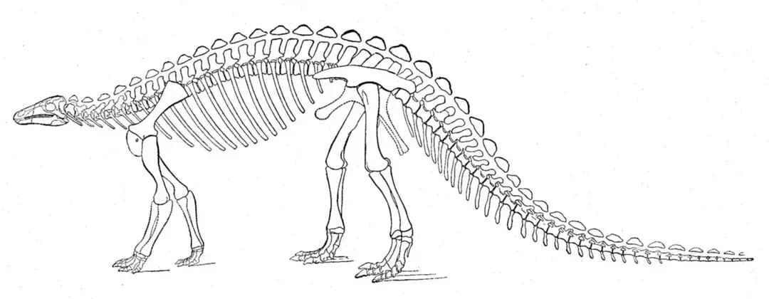 Scelidosaurus byl čtyřnohý dinosaurus.