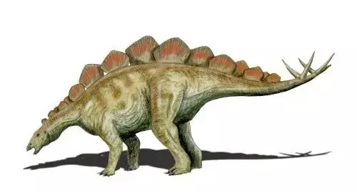 Çocuklar İçin 19 Kükreyen Lexovisaurus Gerçekleri
