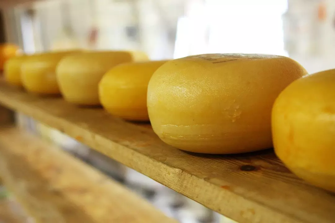 Τι είδους τυρί είναι το Babybel; Γεγονότα για νόστιμα σνακ τυριού για παιδιά