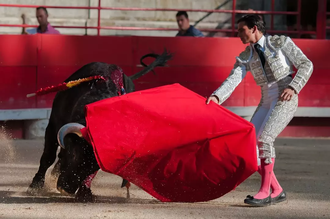 57 Шпанских чињеница о борби бикова: Овај обичај ће вас заиста задивити!