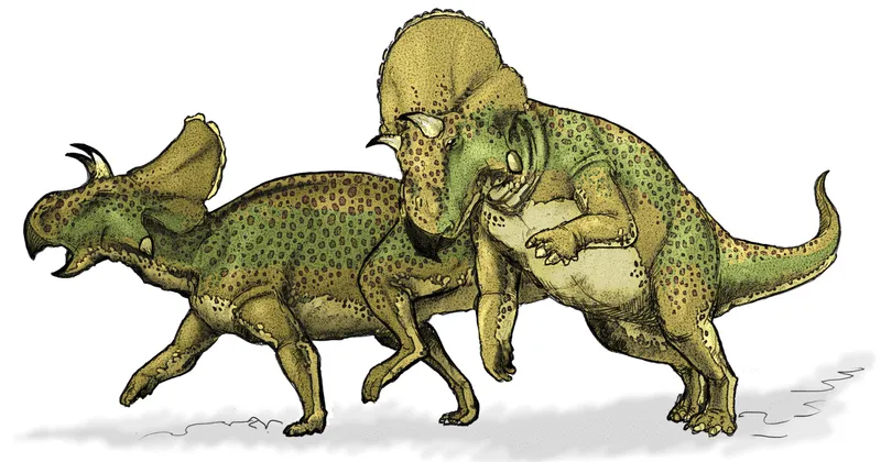 Zábavná fakta o Montanoceratops pro děti