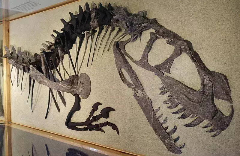 15 Dino-ērcītes ceratosaurus fakti, kas patiks bērniem