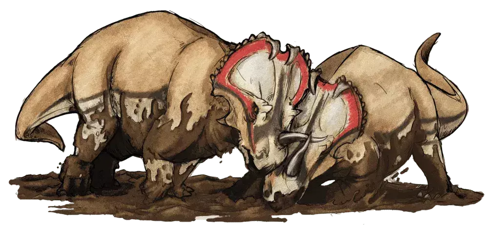 El esqueleto de Bravoceratops se recuperó en los restos del Cretácico superior del oeste de América del Norte, particularmente en Texas.