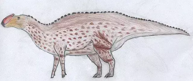 Nadaljujte z branjem za več zabavnih dejstev o Aralosaurusu.