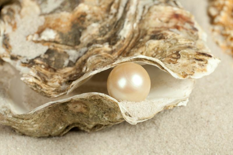Perché le ostriche fanno le perle qui S cosa devi sapere