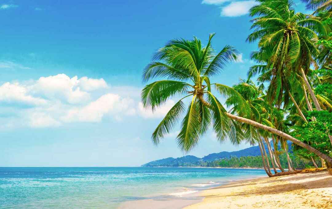 Kilátás a szép trópusi tengerpartra, pálmákkal körülvéve