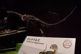 15 riaumojančių faktų apie Chilesaurus, kuris patiks vaikams