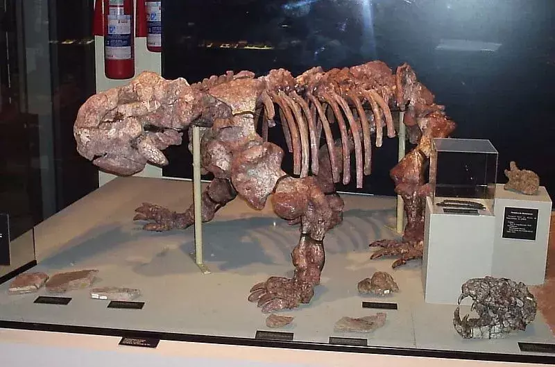 19 hämmästyttävää Dinodontosaurus-faktaa, joita lapset rakastavat