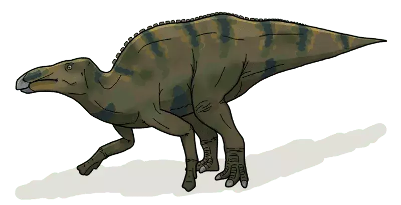 19 아이들이 좋아할 공룡 진드기 Huaxiaosaurus 사실