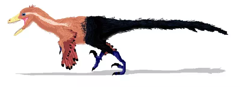 Wist u? 21 ongelooflijke Pyroraptor-feiten