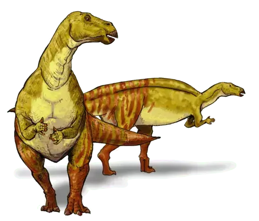 19 Kotasaurus-fakta du aldri vil glemme