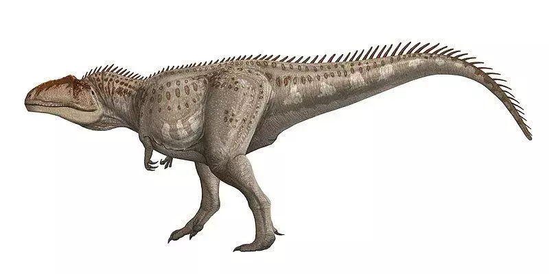 15 brølende fakta om Mapusaurus, som børn vil elske
