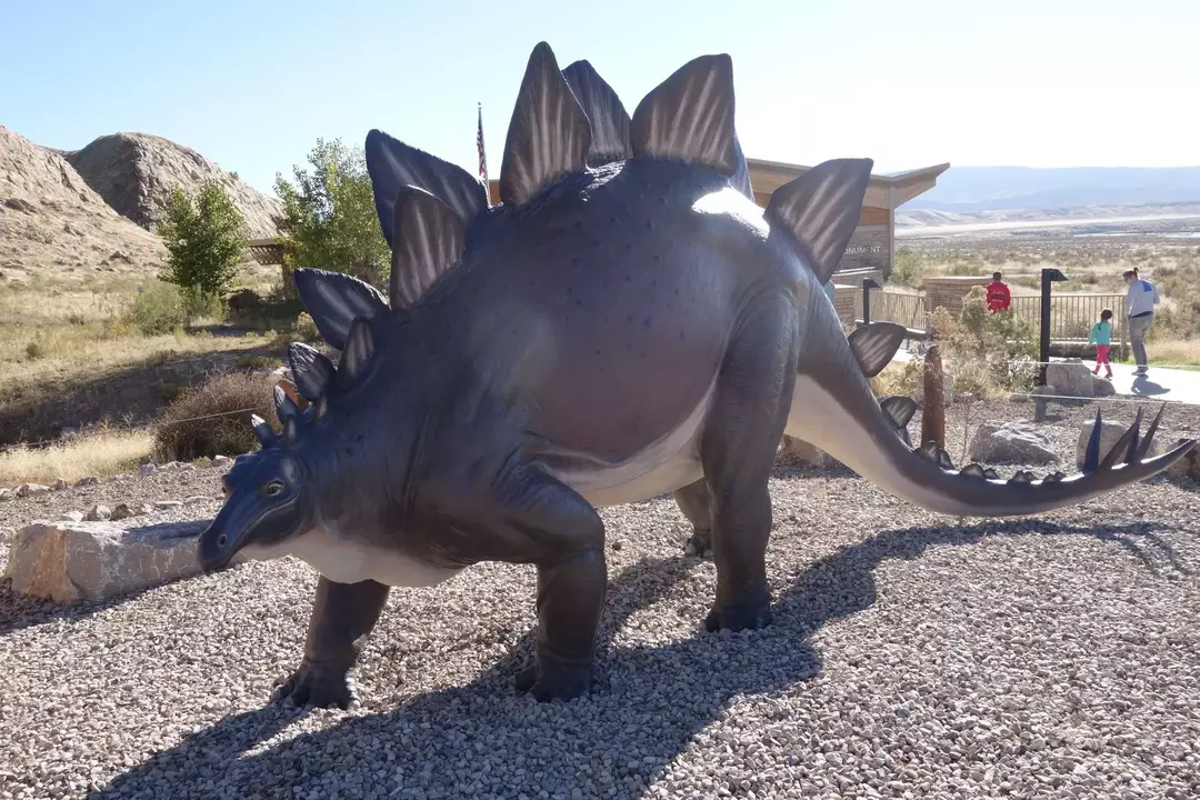 15 Dino-mite Wuerhosaurus fapte pentru copii