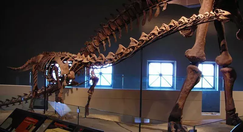 Rapetosaurus krausei var en stor växtätare som troligen svalt ihjäl på grund av klimatförändringar.
