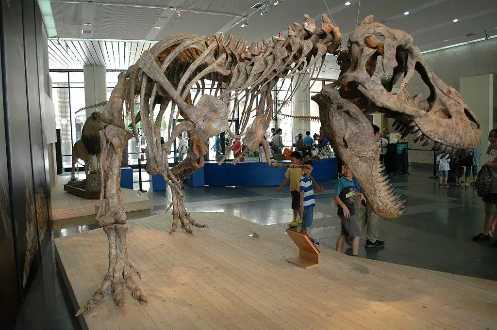 19 עובדות על שאנסנוזאורוס שילדים יאהבו