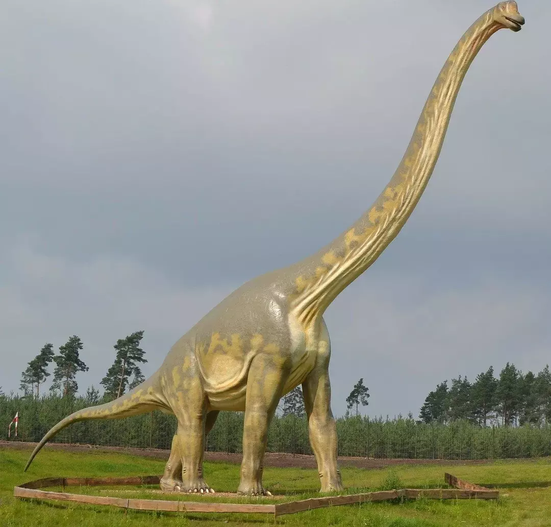 17 Dino-erkės Chubutisaurus faktų, kurie patiks vaikams