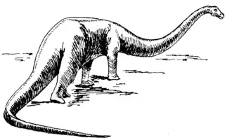 21 Dino-mite Qijianglong ფაქტი, რომელიც ბავშვებს მოეწონებათ