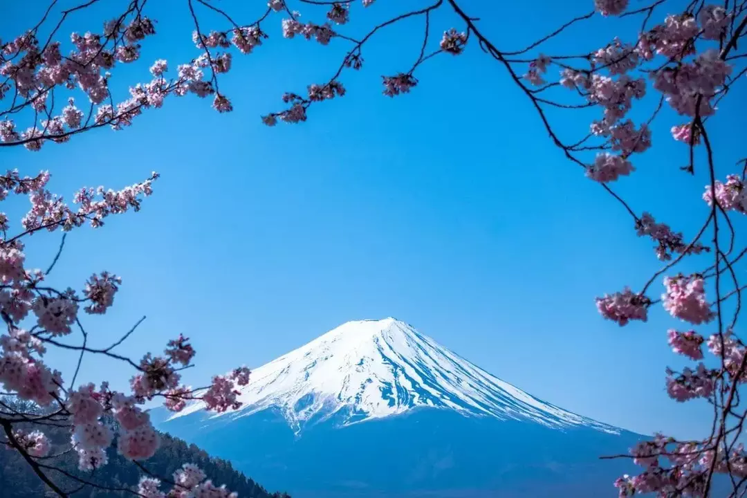 Keliautojas širdyje? 58 nuostabūs Fudžio kalno faktai jums