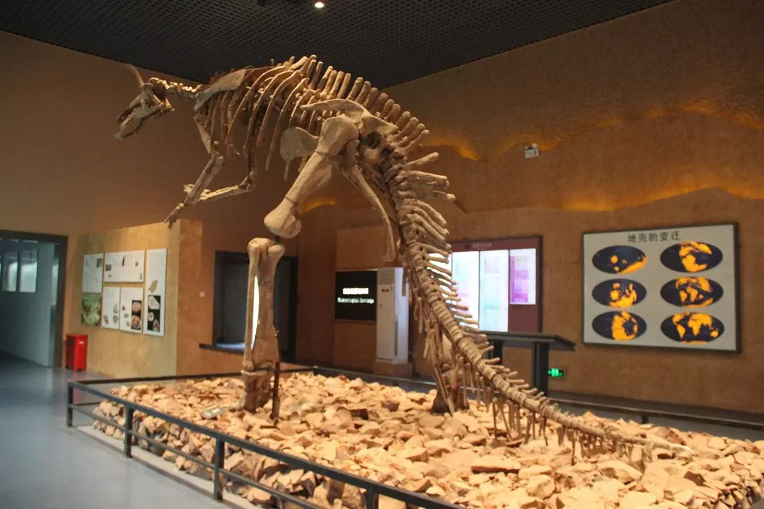 19 من حقائق الديناصور الديناصور Tsintaosaurus التي سيحبها الأطفال