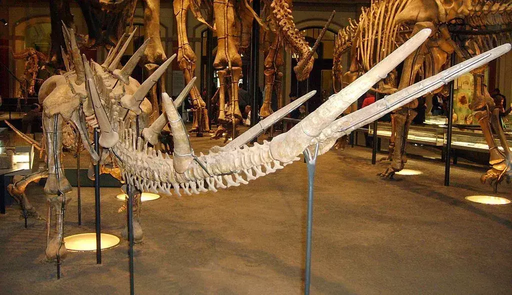 Kentrosaurus: 21 ข้อเท็จจริงที่คุณจะไม่เชื่อ!