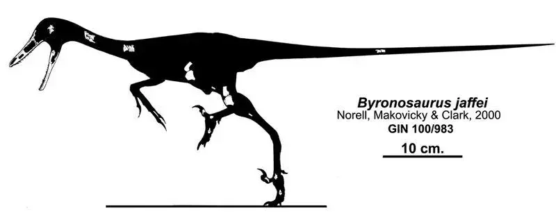 21 činjenica o Dino-mite Urbacodon koja će se svidjeti djeci