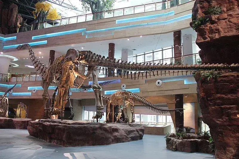 ¿Sabías? 21 hechos increíbles de Alamosaurus