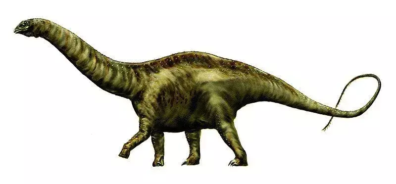 Atlantosaurus Hakkında Çocukların Seveceği 17 Kükreyen Gerçek
