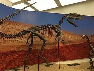 Monolophosaurus cinsinin dinozorları, kafataslarında bulunan tek armanın adını almıştır.