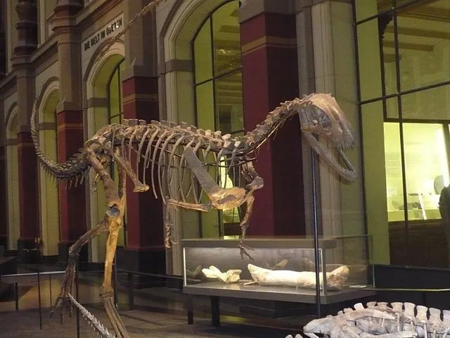 अफ्रीका के तेज द्विपाद डायनासोर के बारे में मजेदार तथ्य, जिसे एलाफ्रोसॉरस कहा जाता है, एक हल्के पैर वाली छिपकली, जो अपने वजन, लंबाई और आकार सहित जुरासिक काल के अंत में रहती थी।