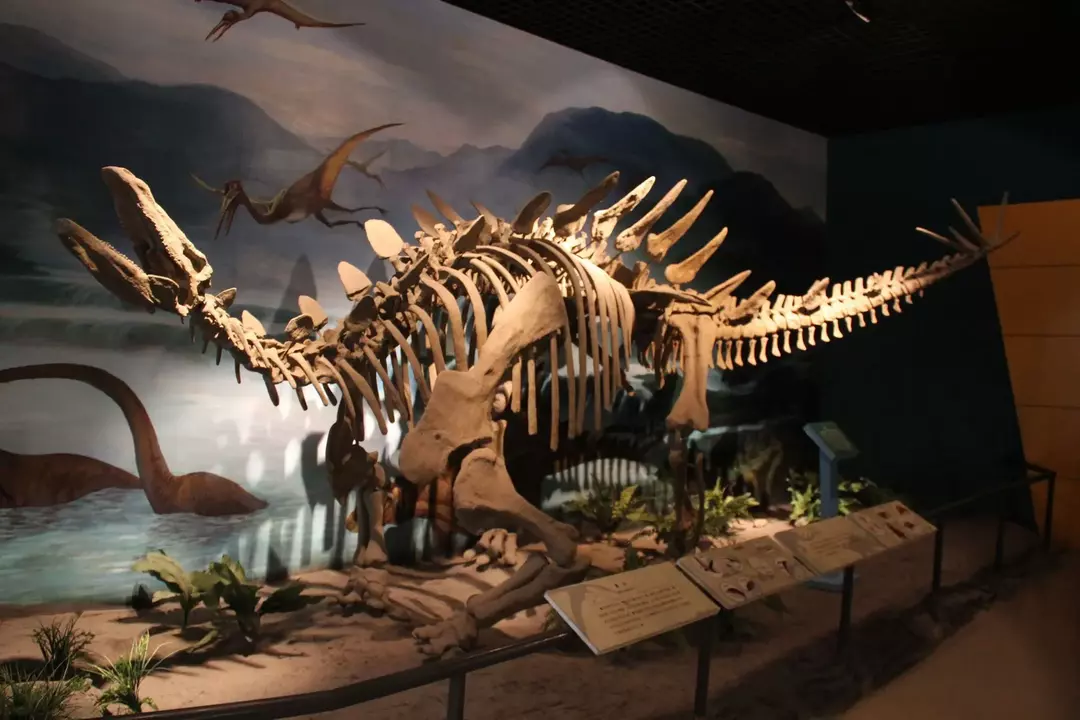 Stegozaur: 15 faktów, w które nie uwierzysz!