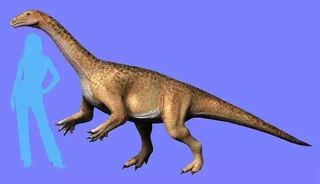 Riojasaurus: 15 faktov, ktorým neuveríte!