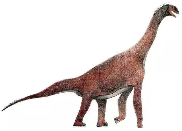 15 фактів про Atlasaurus, які ви ніколи не забудете