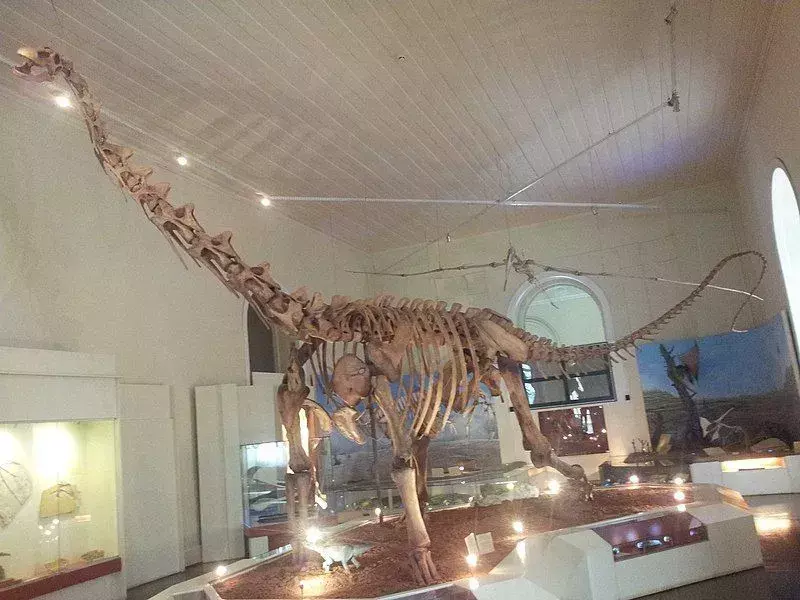 17 Maxakalisaurus-tény, amelyet soha nem fog elfelejteni