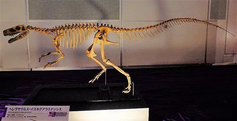 21 공룡 진드기 Herrerasaurus 아이들이 좋아할 사실