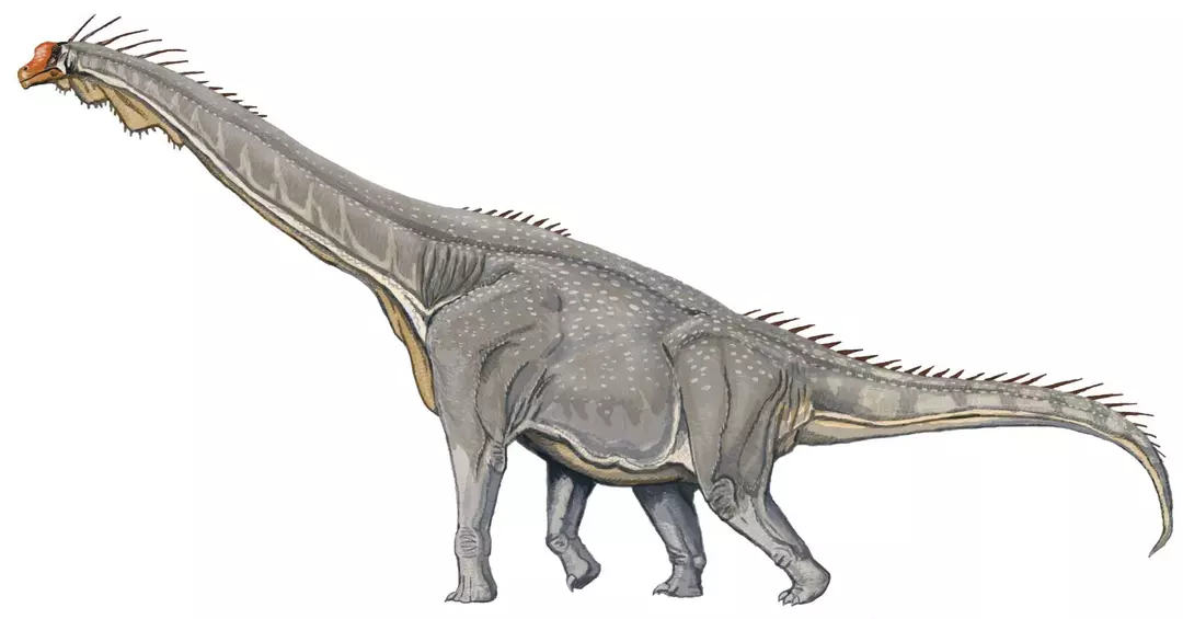 Brachiosaurus: 15 Fakta yang Tidak Akan Anda Percaya!