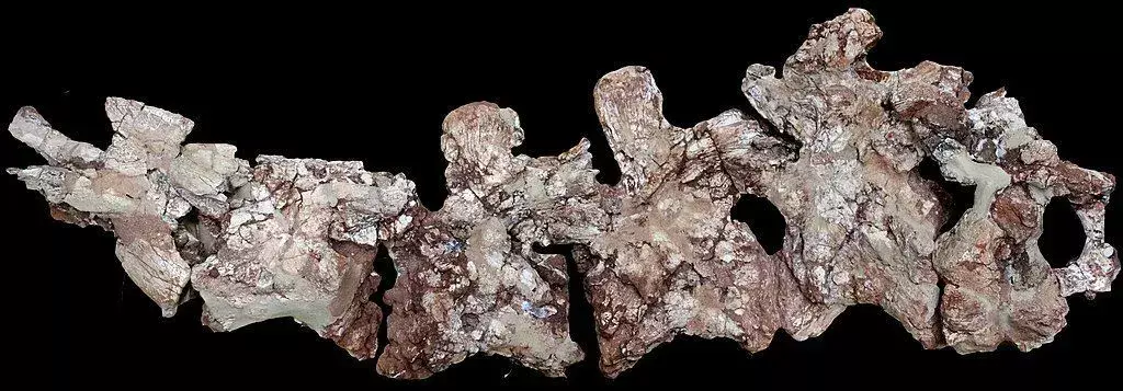 역사상, 쥐라기 시대로 거슬러 올라가는 거대한 용각류 트랙웨이가 연구원들이 발견하는 동안 발견되었습니다.