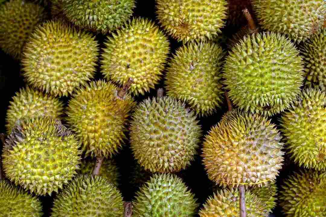 „Durian Nutrition“ faktai juokingai kvepiančiais vaisiais ir jų nauda jums