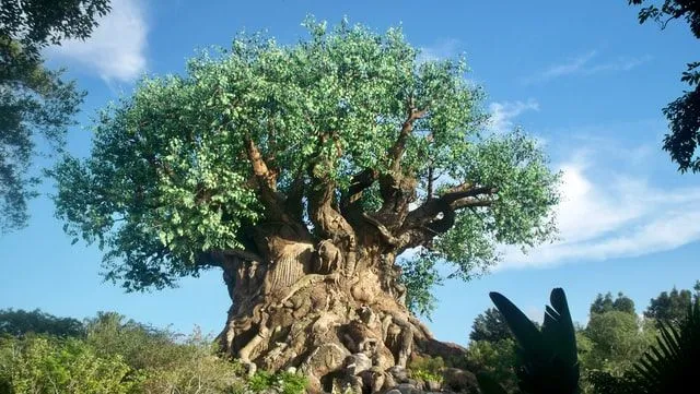 30 inspirativních citátů o stromu života, které vás udrží v růstu