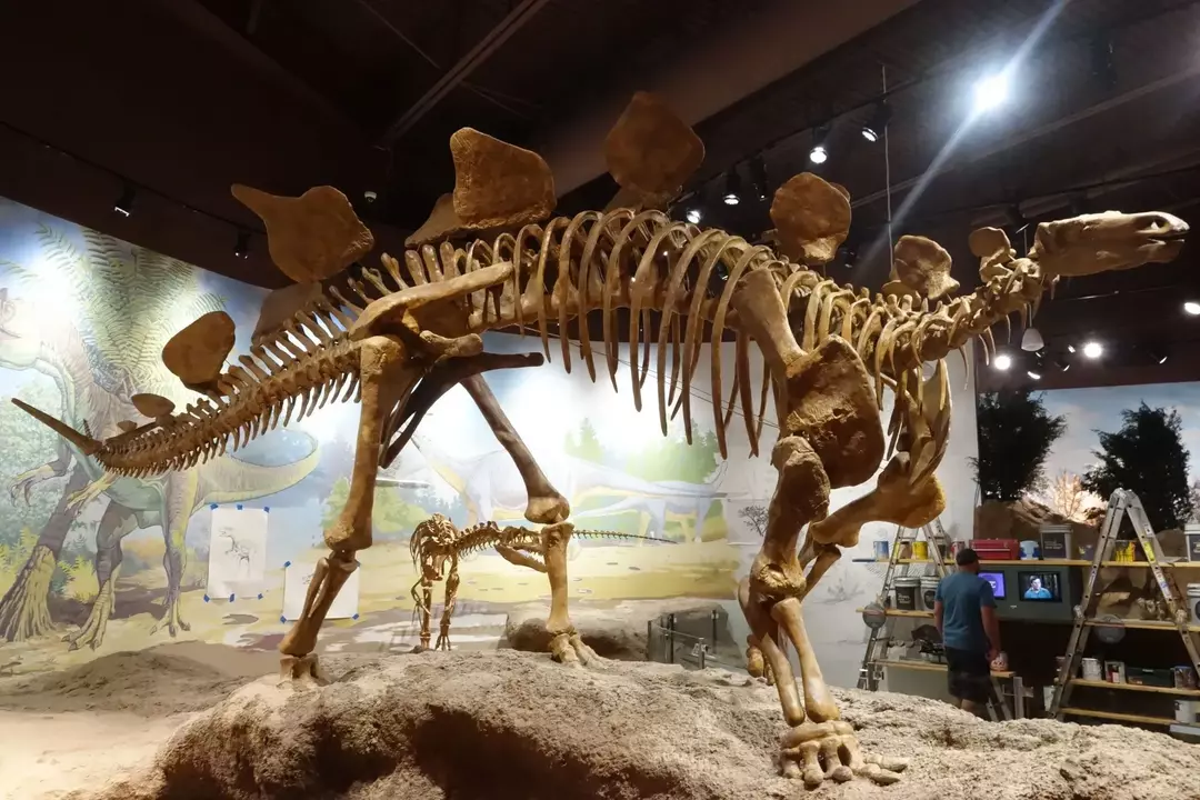 Hesperosaurus'un üzerinde benzersiz bir arka plaka vardı!