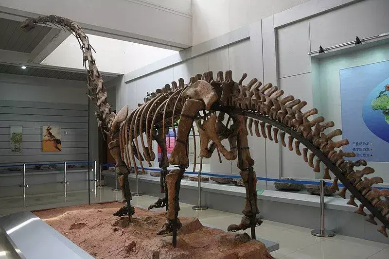 21 faktov o omeisaurovi, na ktoré nikdy nezabudnete
