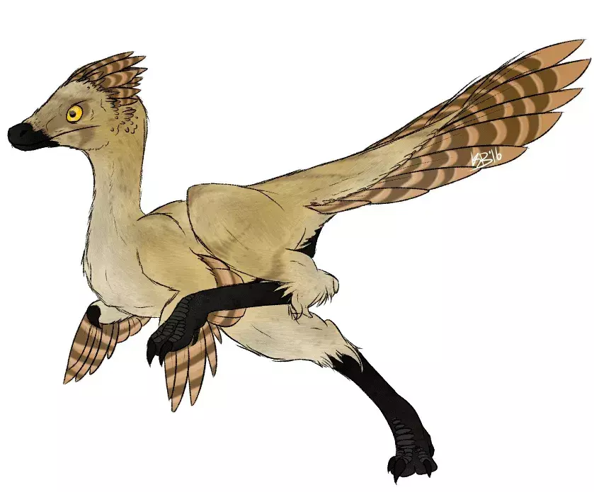 Questo genere consisteva in un piccolo Alvarezsaurid con un artiglio che aveva lunghi arti posteriori, piume e un muso simile a un tubo.