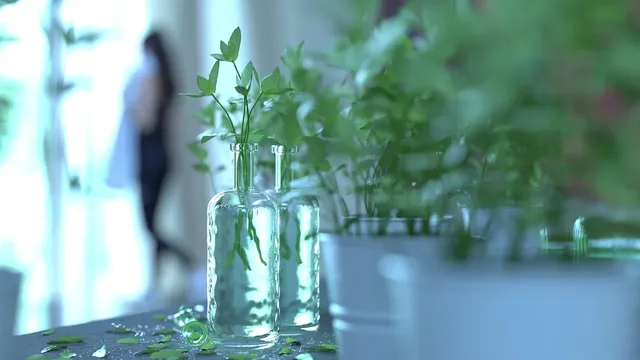 Quanto sono profonde le linee del gas sepolte Fatti interessanti per i bambini
